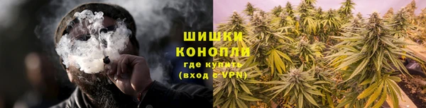 амф Арсеньев