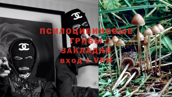 молекула духа Аркадак